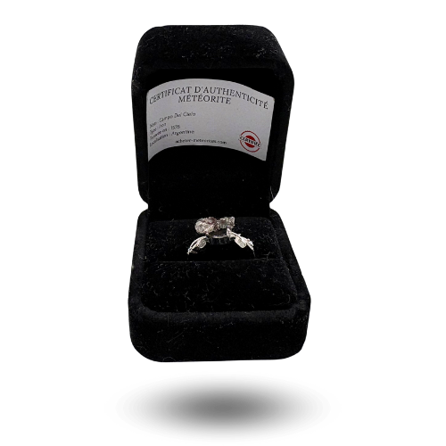 fancy ring