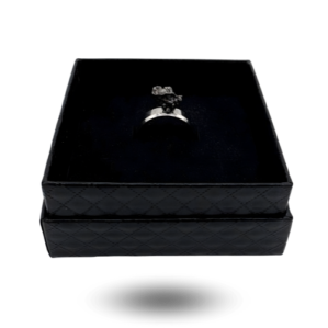 meteorite ring campo del cielo