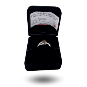 Martian meteorite ring