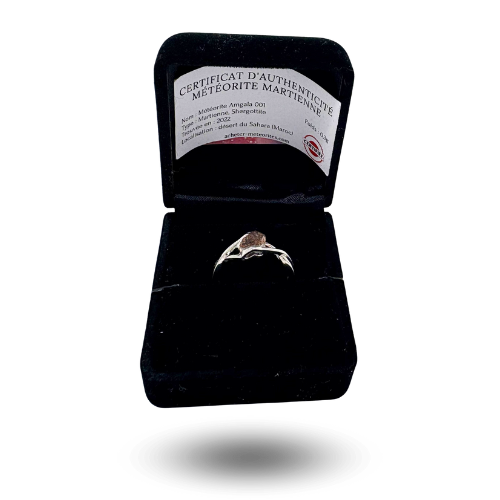 Martian meteorite ring