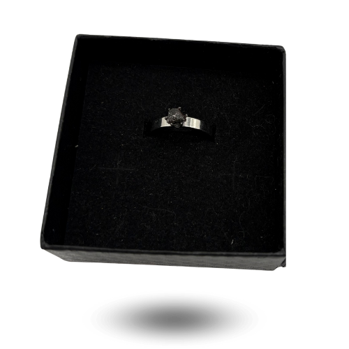 meteorite ring nwa 13290