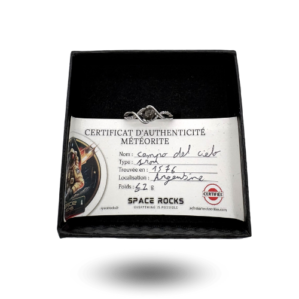 original meteorite ring