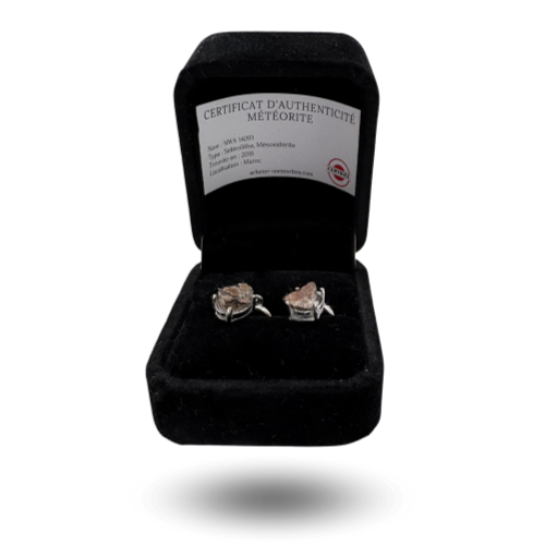 silver-plated earrings