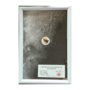 lunar decoration