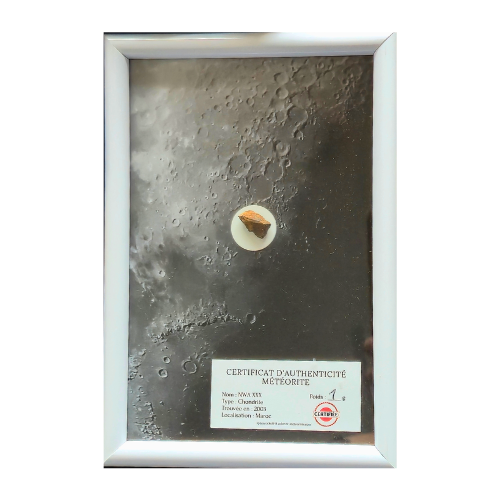 lunar decoration