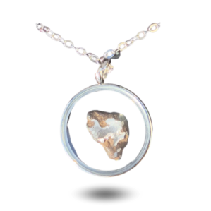 transparent medallion necklace