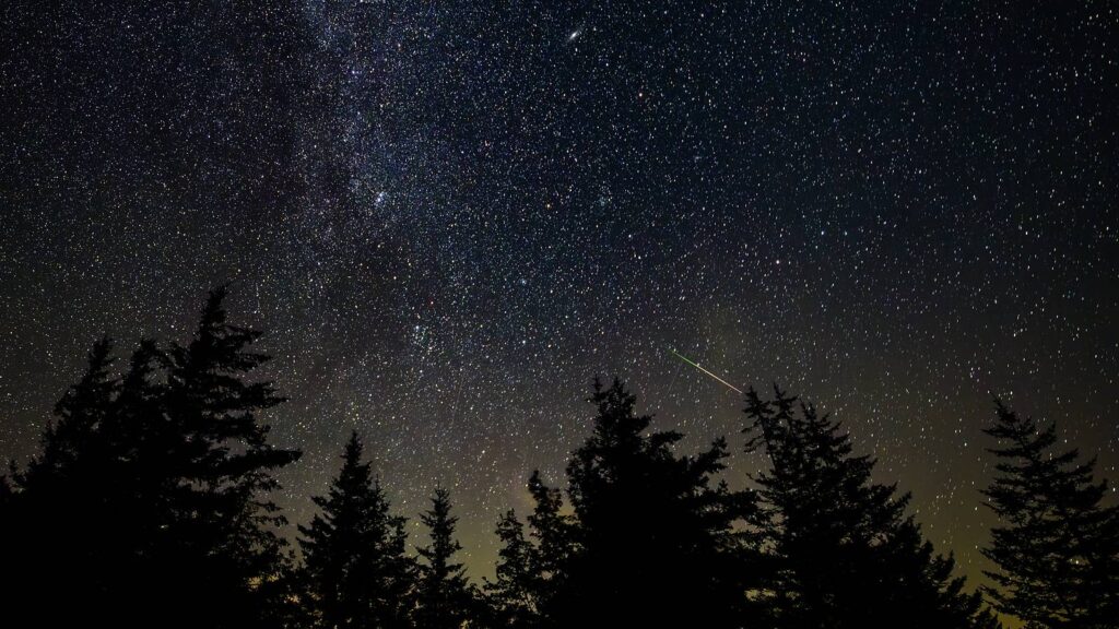 A shooting star streaking across a starry sky above a conifer forest