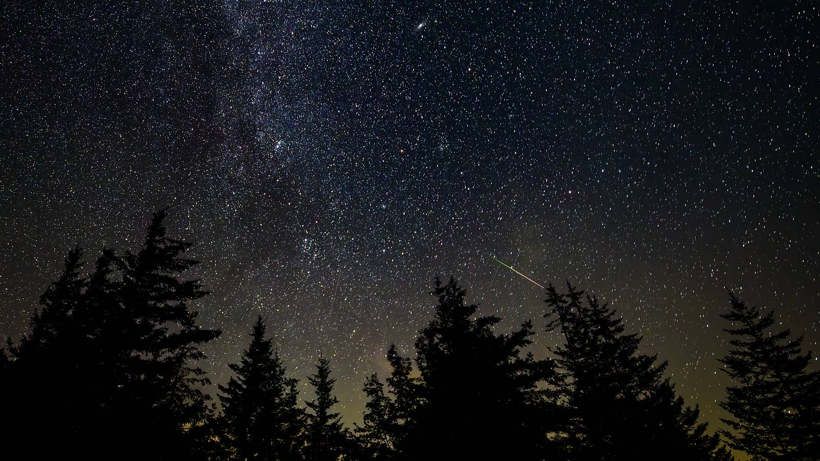 A shooting star streaking across a starry sky above a conifer forest