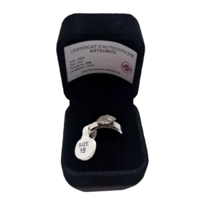 Bague argentée plaque ovale – météorite Aletai, taille 18