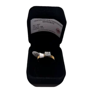 Bague dorée plaque carrée – météorite Aletai, taille 21