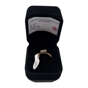 Bague dorée plaque ovale – météorite Aletai, taille 20