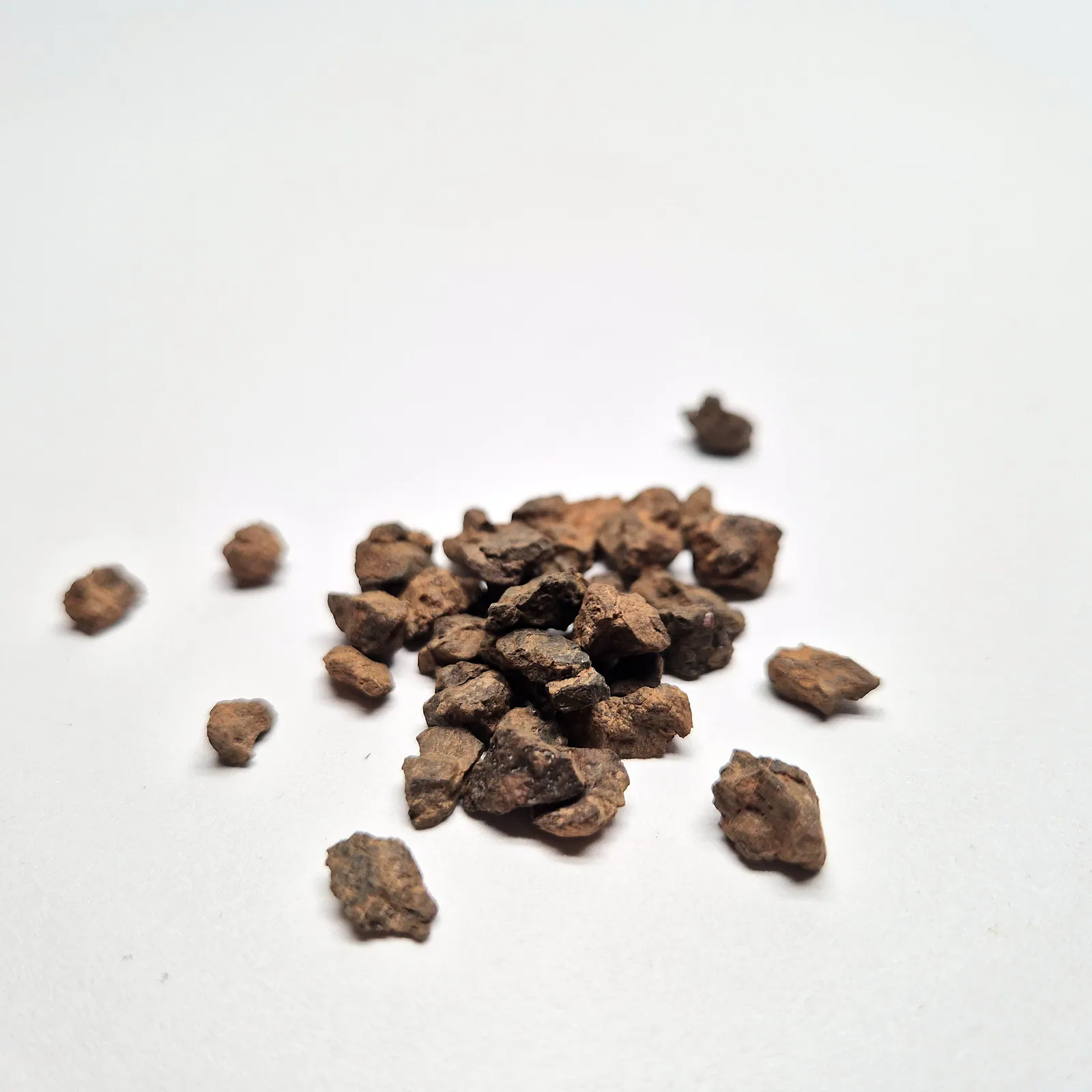 Mésosidérite NWA 14093 – fragments de météorite métal-silicate