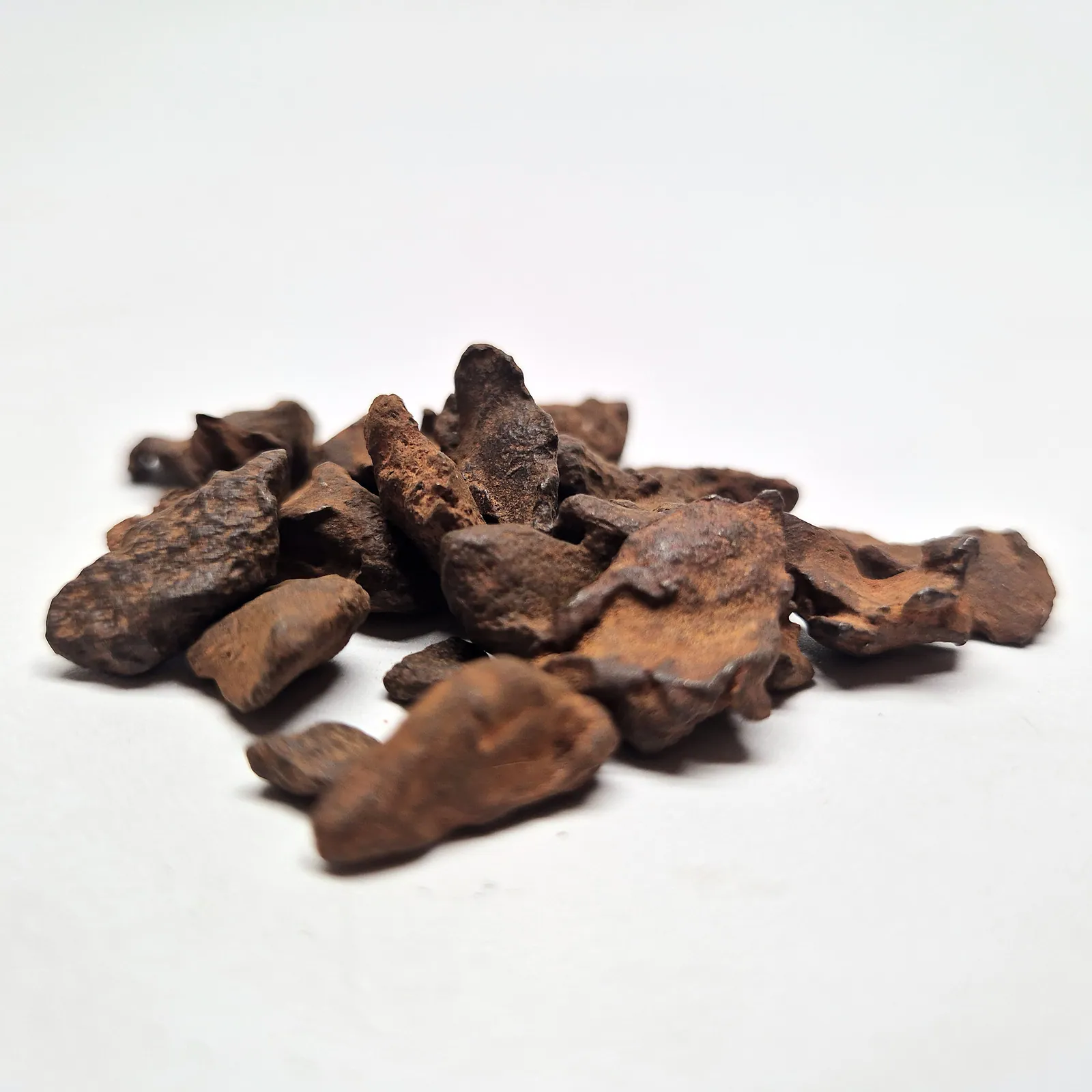 Météorite Gebel Kamil – fragments de météorite de fer du cratère Kamil, Égypte