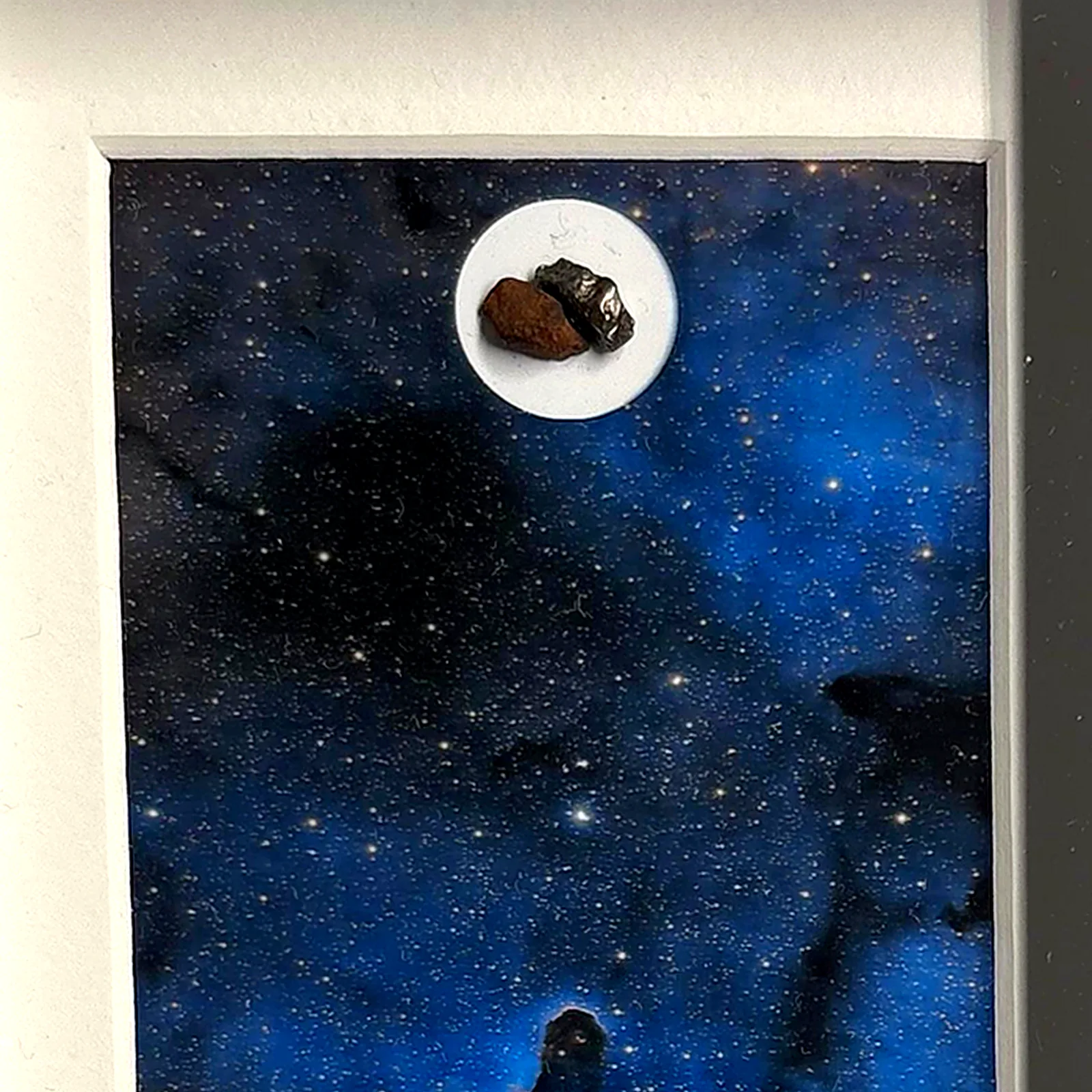 Photo Trompe d'Éléphant encadrée avec météorites Campo del Cielo et Gebel Kamil – cadre noir et passe-partout – gros plan…