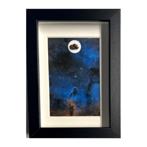 Photo Trompe d'Éléphant encadrée avec météorites Campo del Cielo et Gebel Kamil – cadre noir et passe-partout