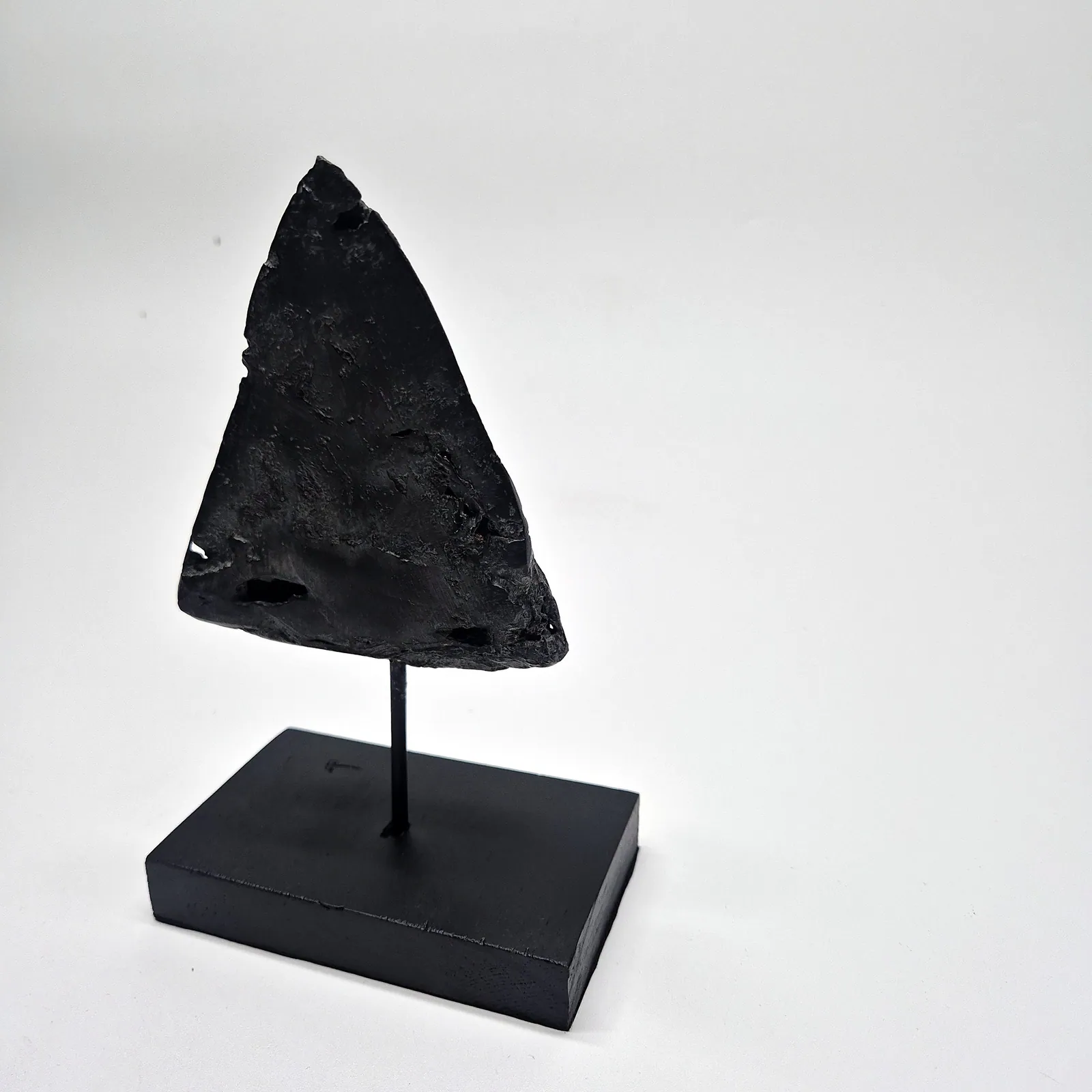 Sculpture en bronze – dent de mégalodon sur socle – vue 5