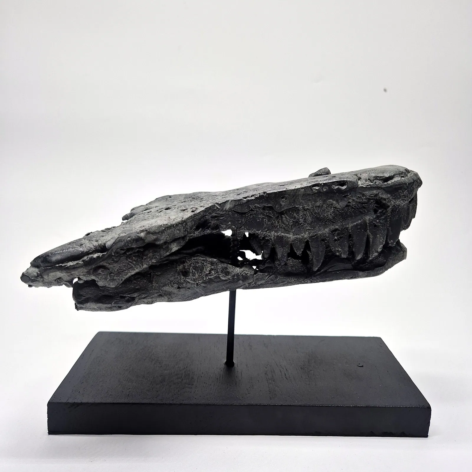 Sculpture en bronze – mâchoire de jeune T-Rex sur socle – vue 7