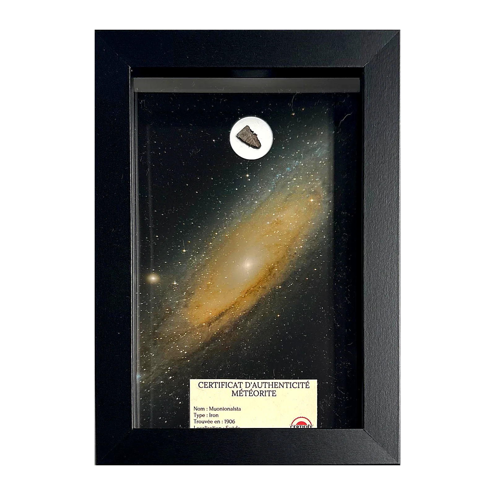 Tableau météorite de fer – Muonionalusta et galaxie d'Andromède