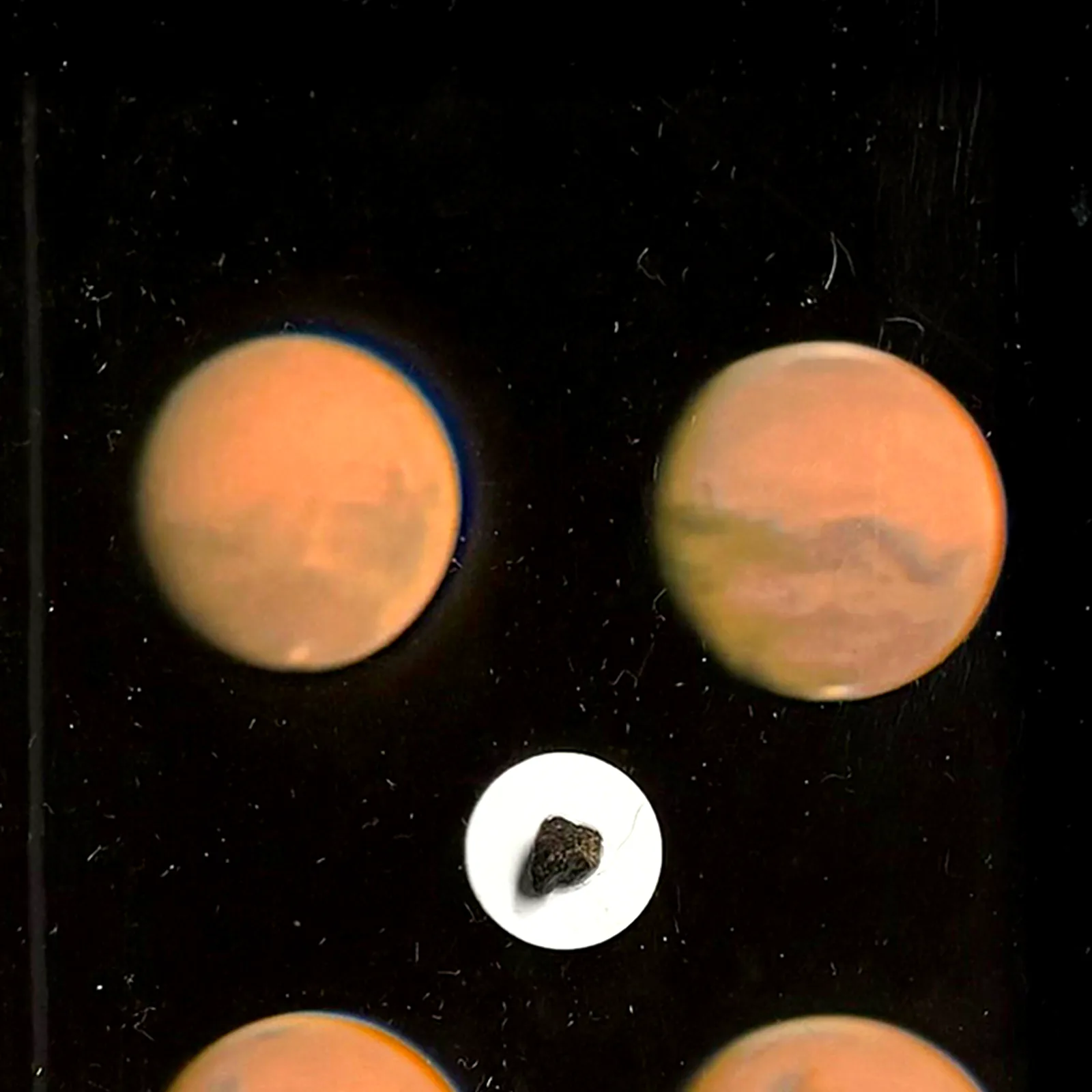 Tableau météorite de Mars – Amgala 001 et quatre visages de la planète rouge – gros plan sur la météorite
