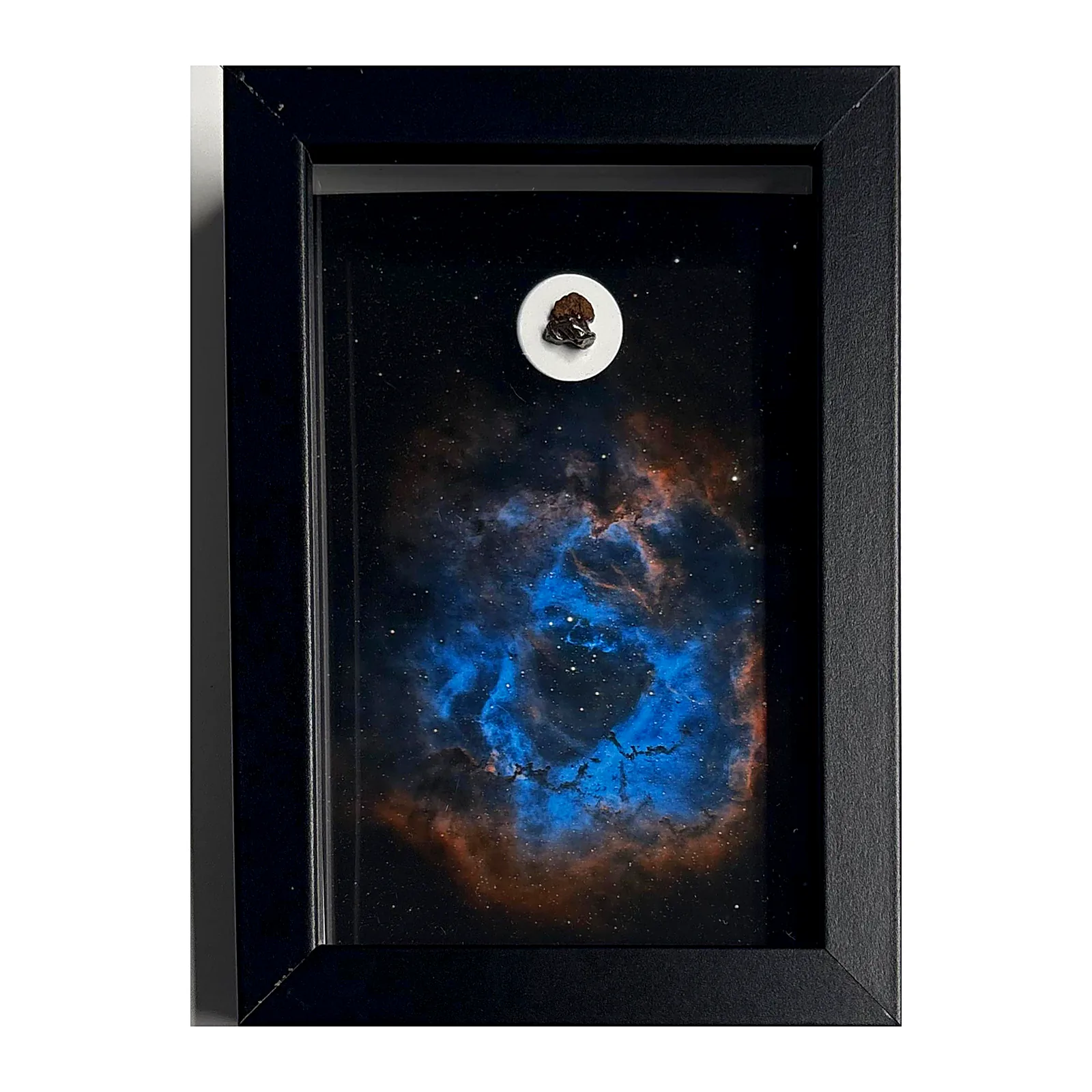 Tableau nébuleuse de la Rosette avec météorites Campo del Cielo et NWA 14093 – cadre profondeur – vue de face sur fond blanc