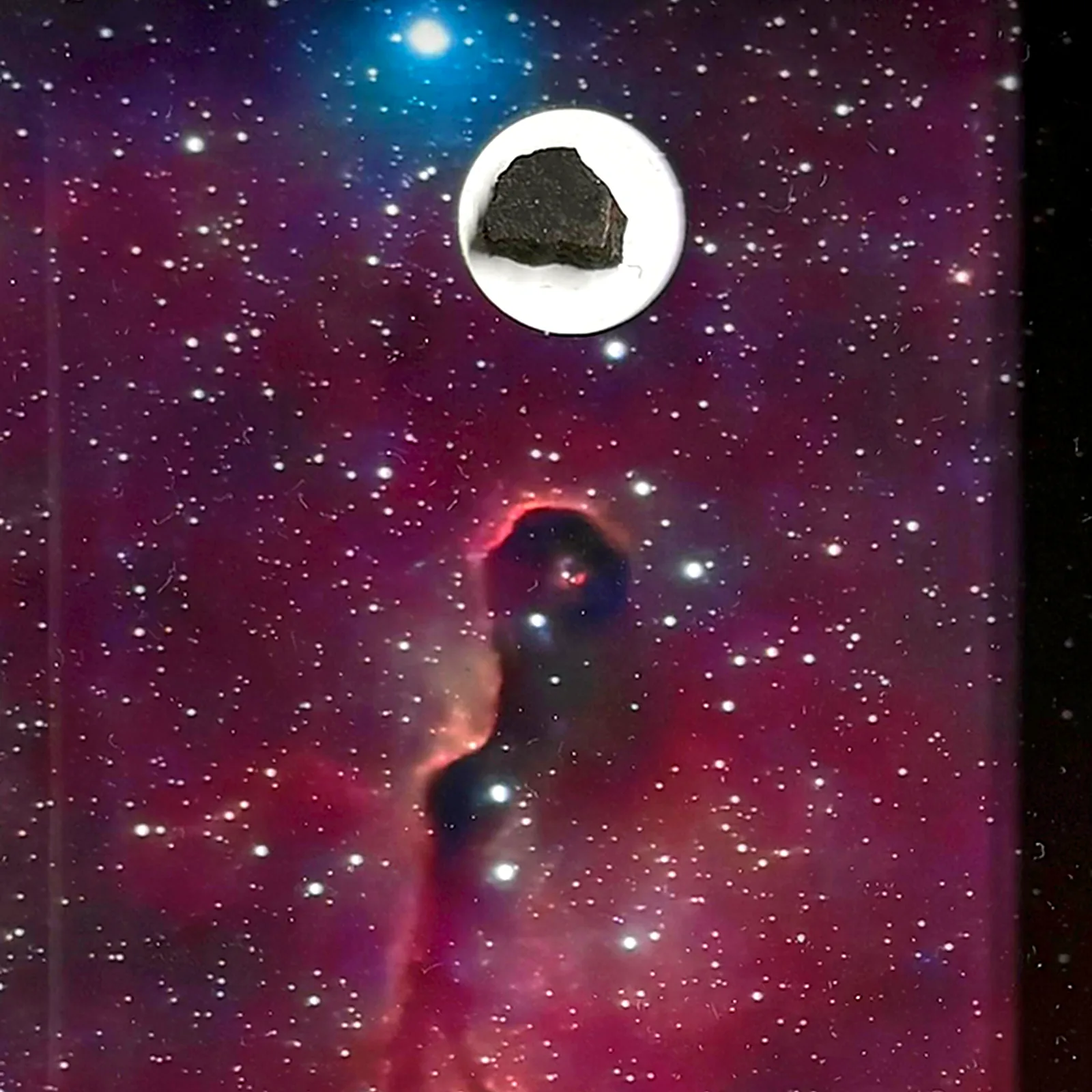 Tableau Trompe d'Éléphant avec météorite NWA 13290 – cadre profondeur – gros plan sur la météorite